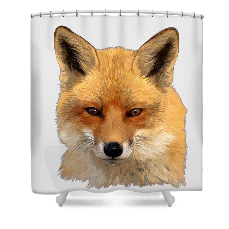 Fox Shower Curtain featuring the painting Red Fox Portrait Sans Background by Judy Link Cuddehe