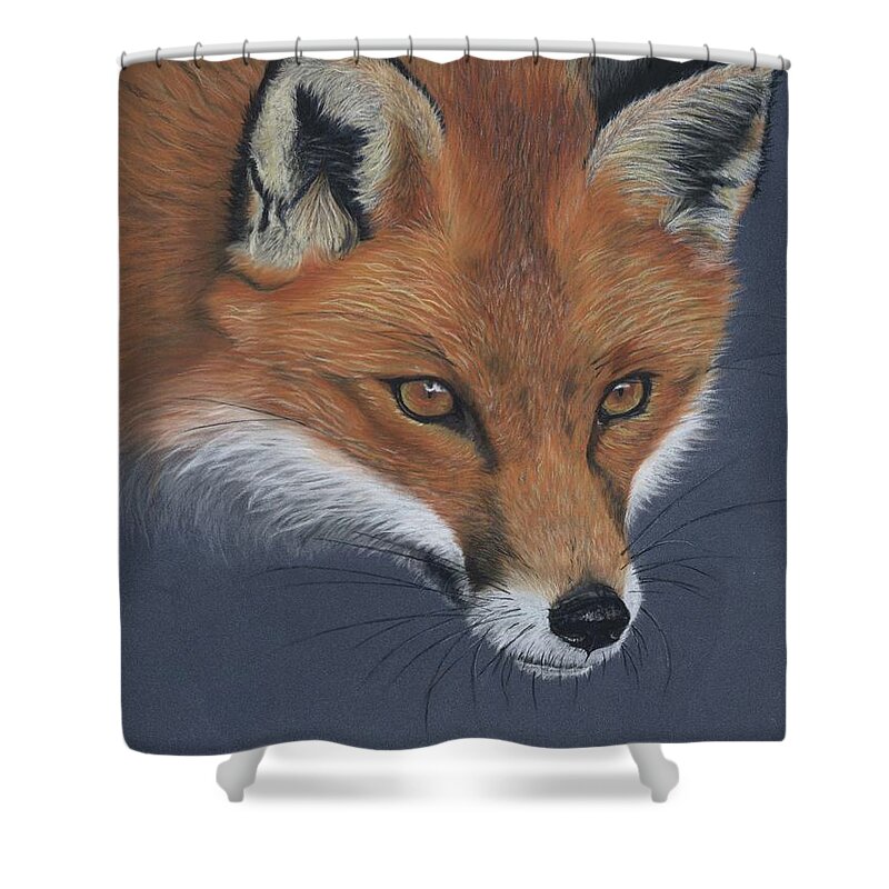 Red Fox Shower Curtain featuring the pastel Red Fox by Twyla Francois