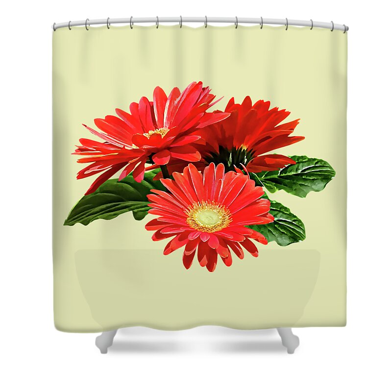 Daisy Shower Curtain featuring the photograph Red Gerbera Daisy Trio by Susan Savad