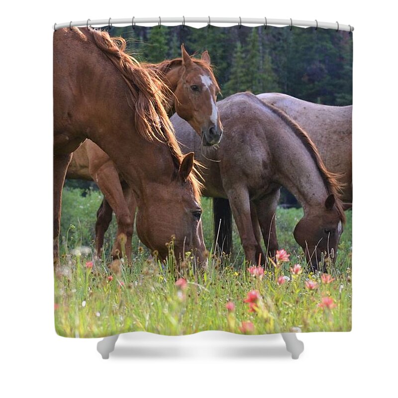 Horse Shower Curtain featuring the photograph Red Horses by Alden White Ballard