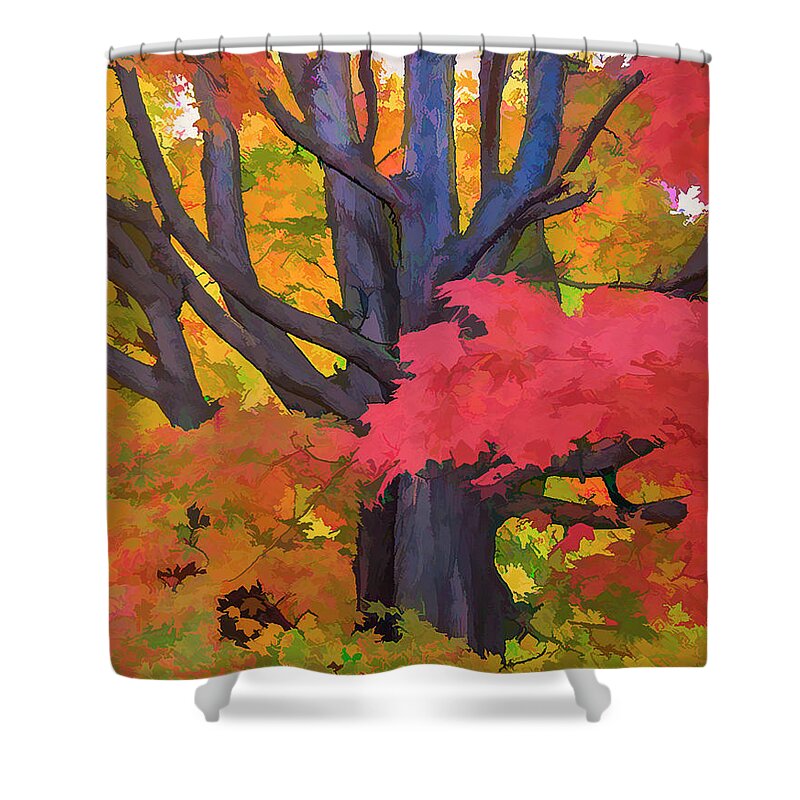 Tree Shower Curtain featuring the photograph Red Maple Frosting 3 by Ginger Stein