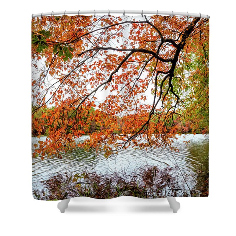 Carolina Shower Curtain featuring the photograph Red Maple Trees at the Lake Indian Boundary by Debra and Dave Vanderlaan
