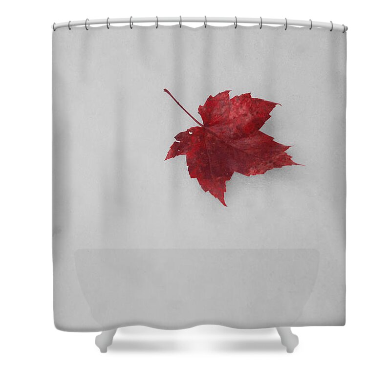 Snow Shower Curtain featuring the mixed media Red on White by Moira Law