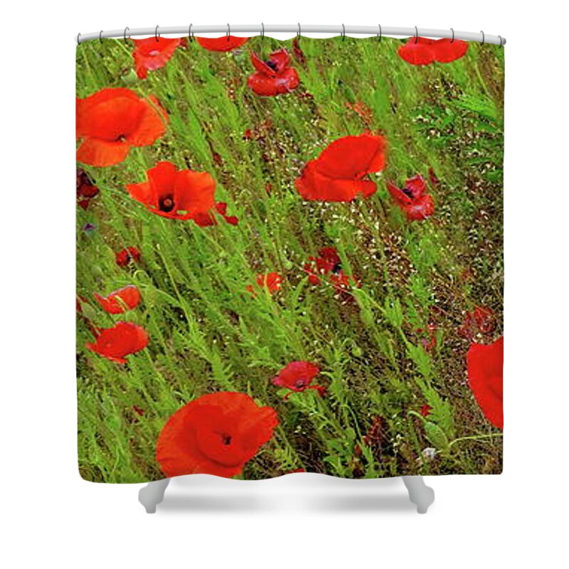 Vertical Shower Curtain featuring the photograph Red Poppies, Vertical Panorama by Lyuba Filatova