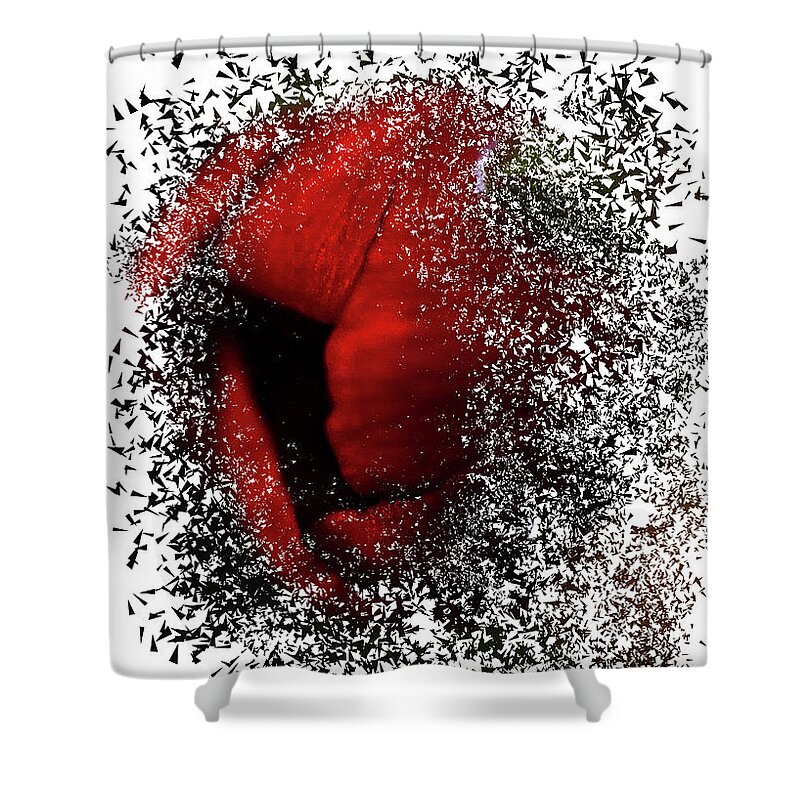 Red Rose Shower Curtain featuring the photograph Red Rose by Al Fio Bonina