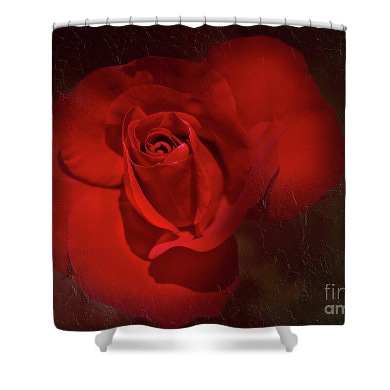 Red Shower Curtain featuring the photograph Red Rose by Elaine Teague