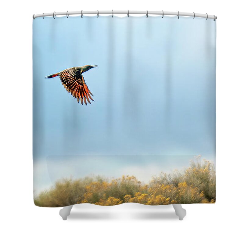Red Shafted Flicker Shower Curtain featuring the photograph Red Shafted Flicker by Rick Mosher