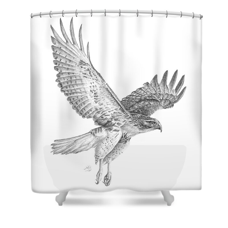 Hawk Shower Curtain featuring the drawing Red Tailed Hawk in Flight by Monica Burnette