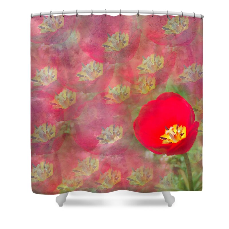 Tulip Shower Curtain featuring the photograph Red Tulip Art by Aimee L Maher ALM GALLERY