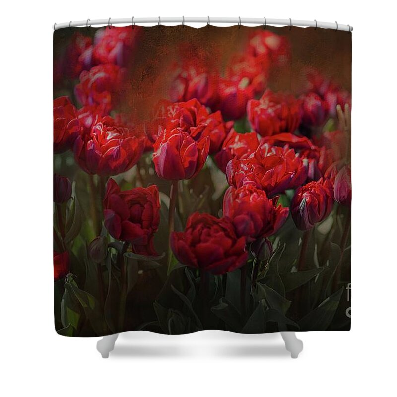 Tulips Shower Curtain featuring the photograph Red Tulips by Eva Lechner