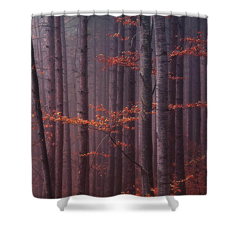 Mountain Shower Curtain featuring the photograph Red Wood by Evgeni Dinev