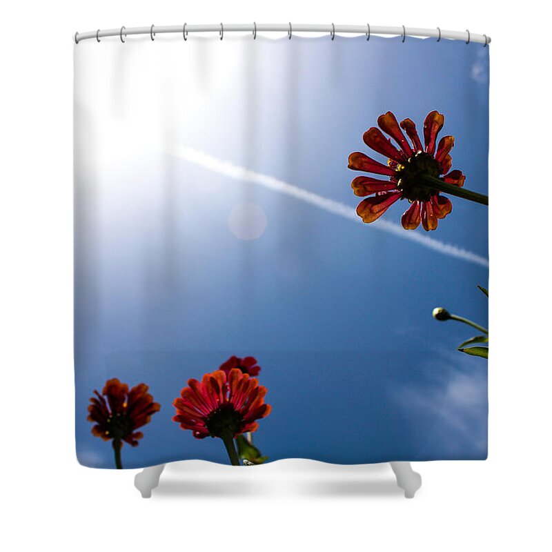 Zinnia Shower Curtain featuring the photograph Red Zinnia Contrail into the Sun by W Craig Photography
