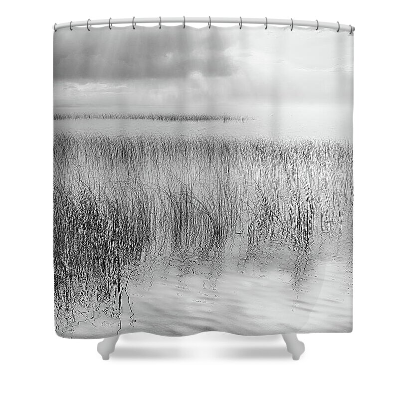 Black And White Photography Shower Curtain featuring the photograph Reeds Along the Shore by Allan Van Gasbeck