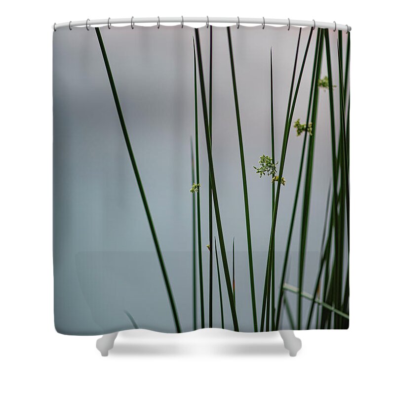 Reed Shower Curtain featuring the photograph Reeds By A Pond by Karen Rispin