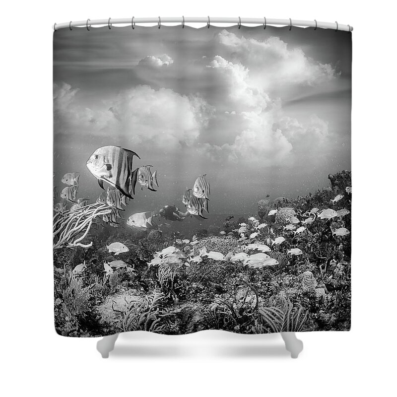 Black Shower Curtain featuring the photograph Reef Under the Sea and Sky Black and White by Debra and Dave Vanderlaan