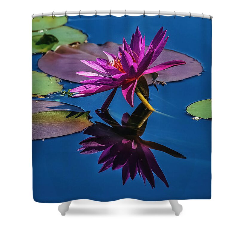 Washington Shower Curtain featuring the photograph Reflection of a Water Lily #3 by Stuart Litoff
