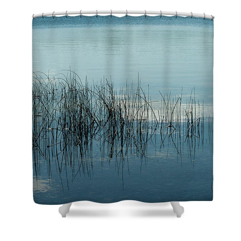 Calm Water Shower Curtain featuring the photograph Reflection by Rich S