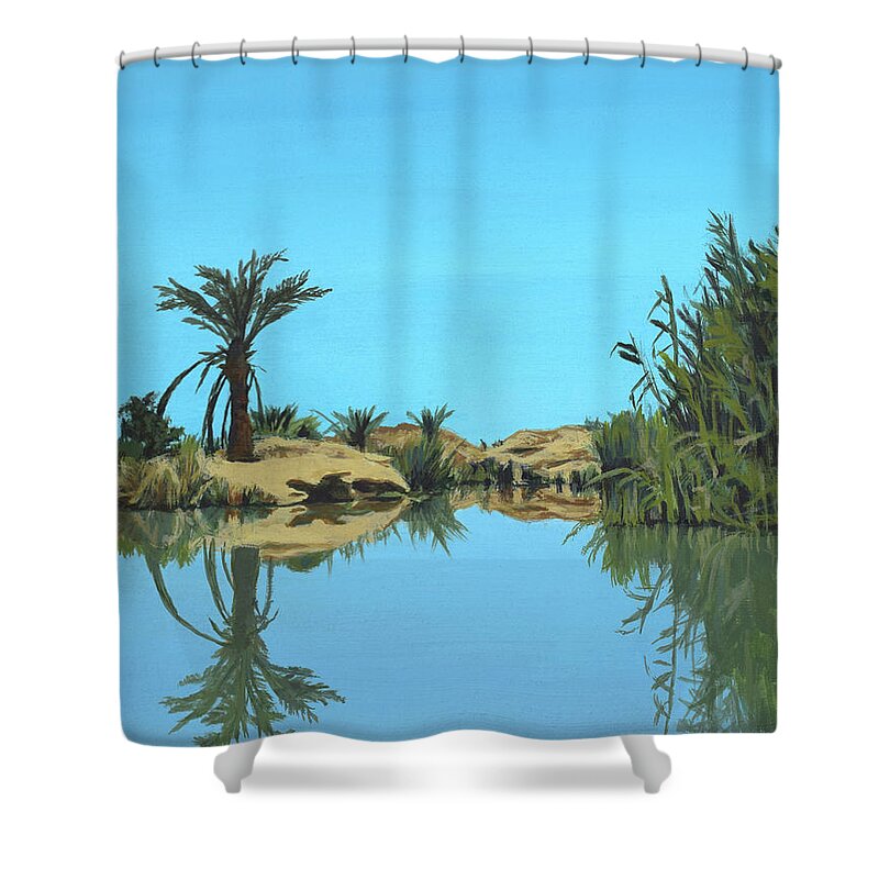 Shower Curtain featuring the painting Reflections by Sarra Elgammal
