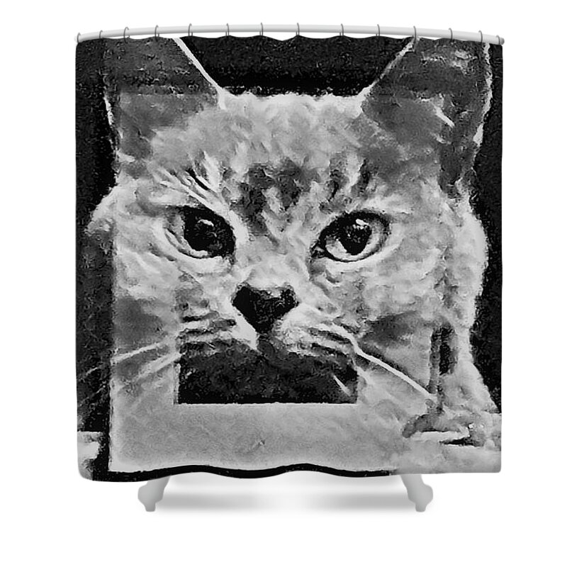 Digital Art Shower Curtain featuring the photograph Reflections by Tracey Lee Cassin