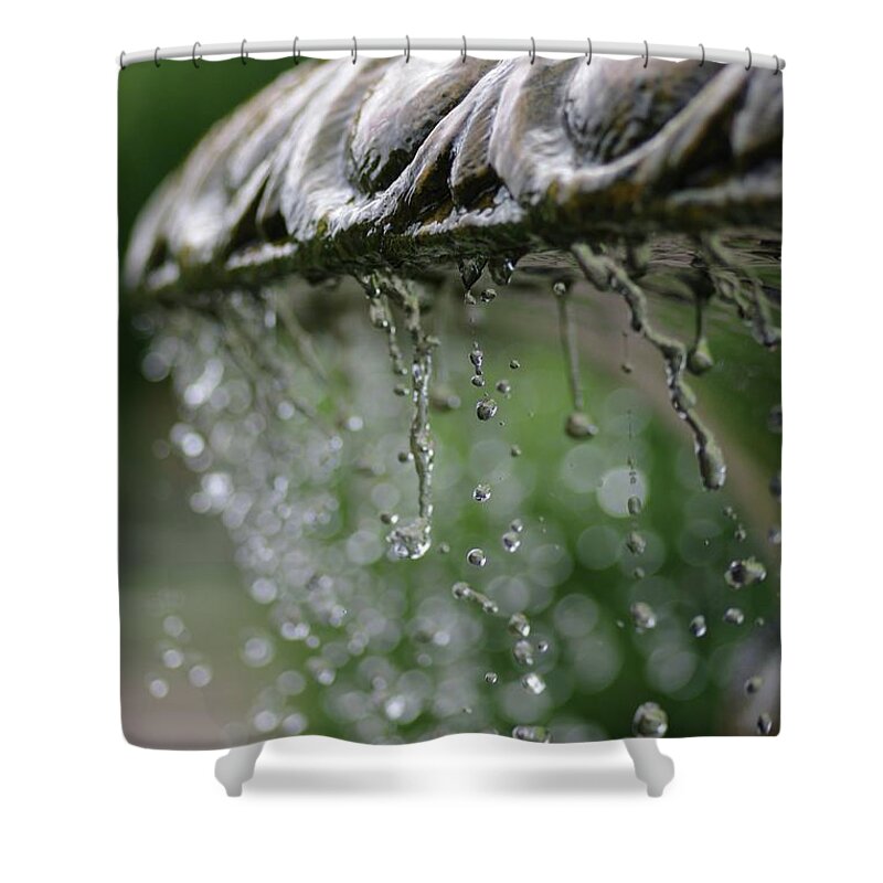 Regents Park Shower Curtain featuring the photograph Regents Park fountain by Raymond Hill