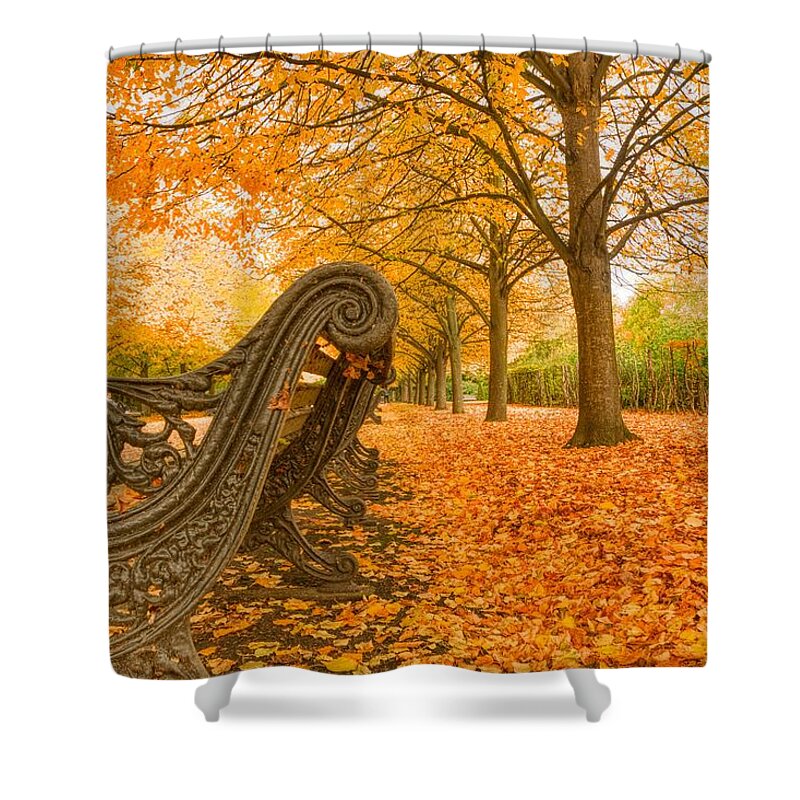 Regents Park Shower Curtain featuring the photograph Regents Park London in November by Raymond Hill