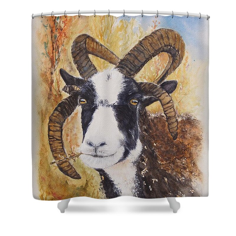 Goats Shower Curtain featuring the painting Reggie by Anna Jacke