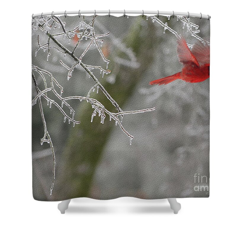 Bird Shower Curtain featuring the digital art Released To Soar by Constance Woods