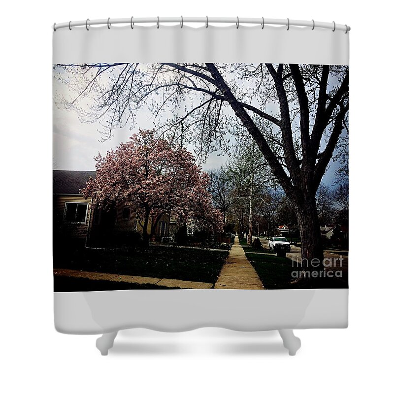 Magnolia Tree Shower Curtain featuring the photograph Remember You Are Precious by Frank J Casella