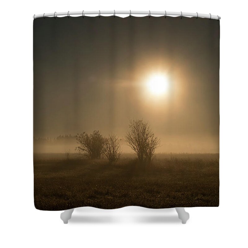 Sun Shower Curtain featuring the photograph Renaissance Light on Misty Field by Mary Lee Dereske