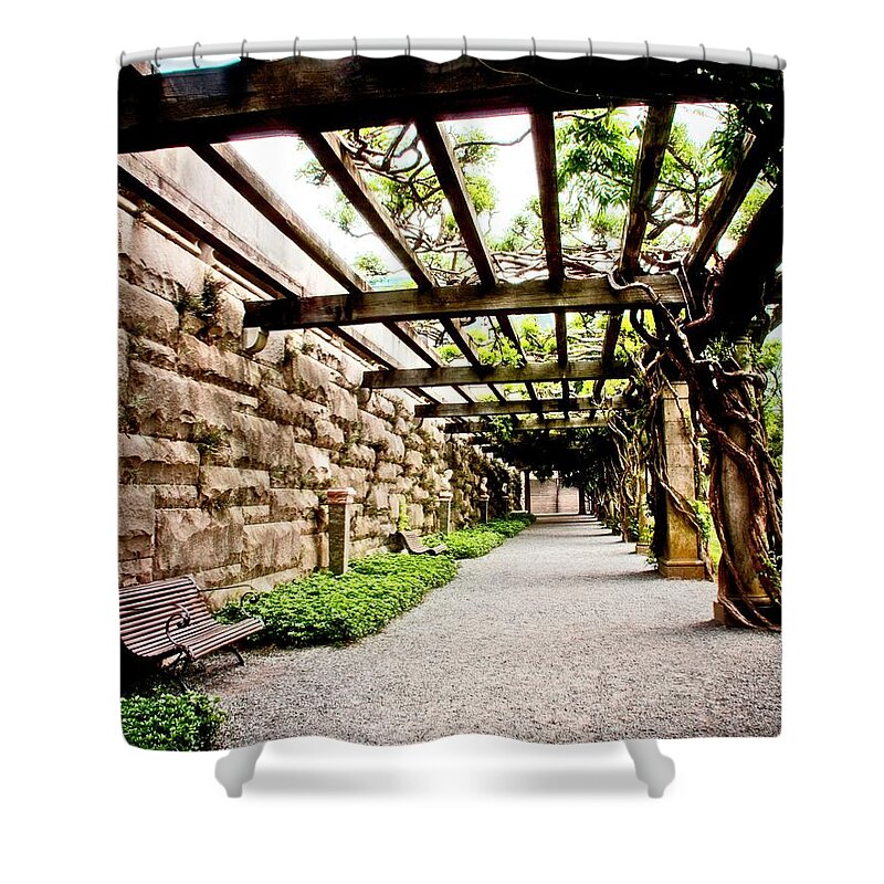 Path Shower Curtain featuring the photograph Rest Then Walk On by Allen Nice-Webb