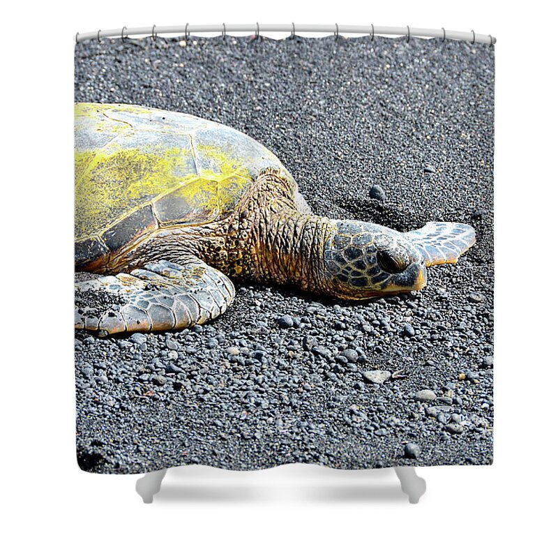 David Lawson Shower Curtain featuring the photograph Rest Time by David Lawson