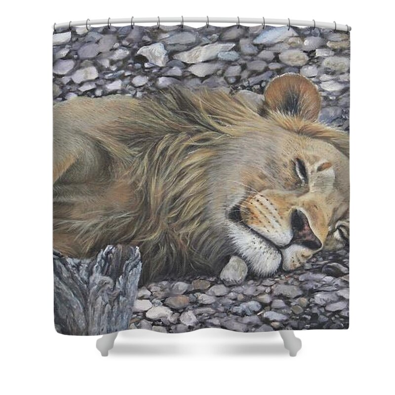 Lion Shower Curtain featuring the painting Resting Assured by Tammy Taylor