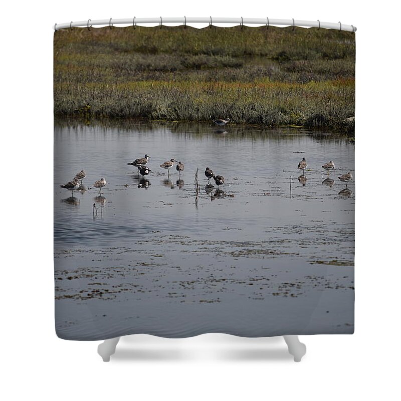 Sea Shower Curtain featuring the photograph Resting in the Bog by Gerald Carpenter