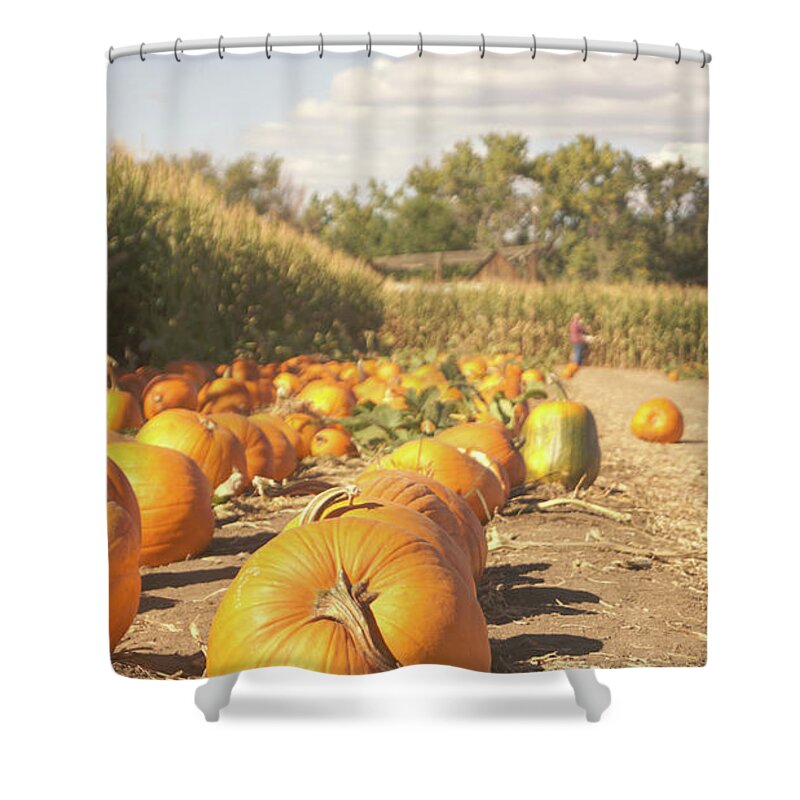 Retro Shower Curtain featuring the photograph Retro pumpkin patch by Steve Speights