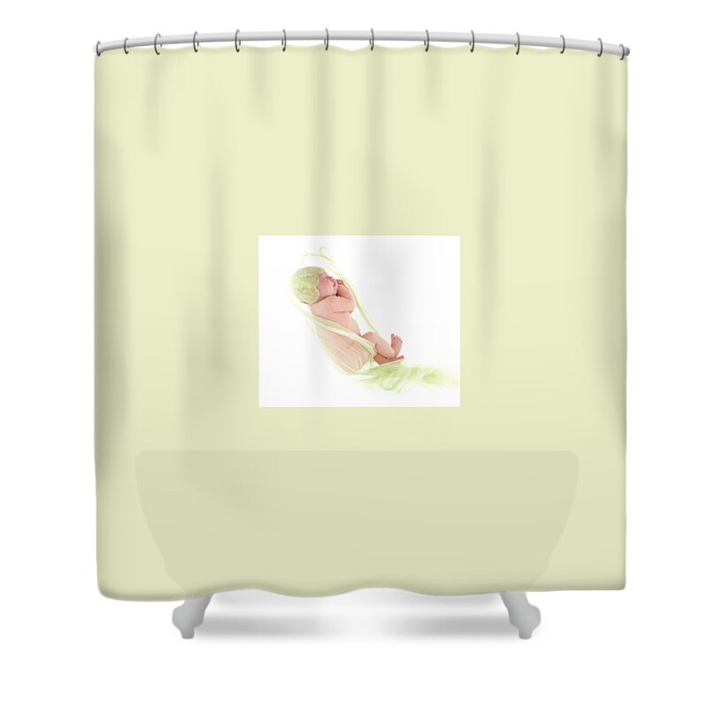 Jonquil Shower Curtain featuring the photograph Rhia as a Jonquil Bud by Anne Geddes