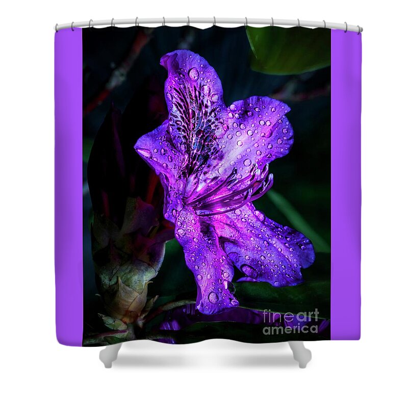 Flowers Shower Curtain featuring the pyrography Rhododendron by Joseph Miko