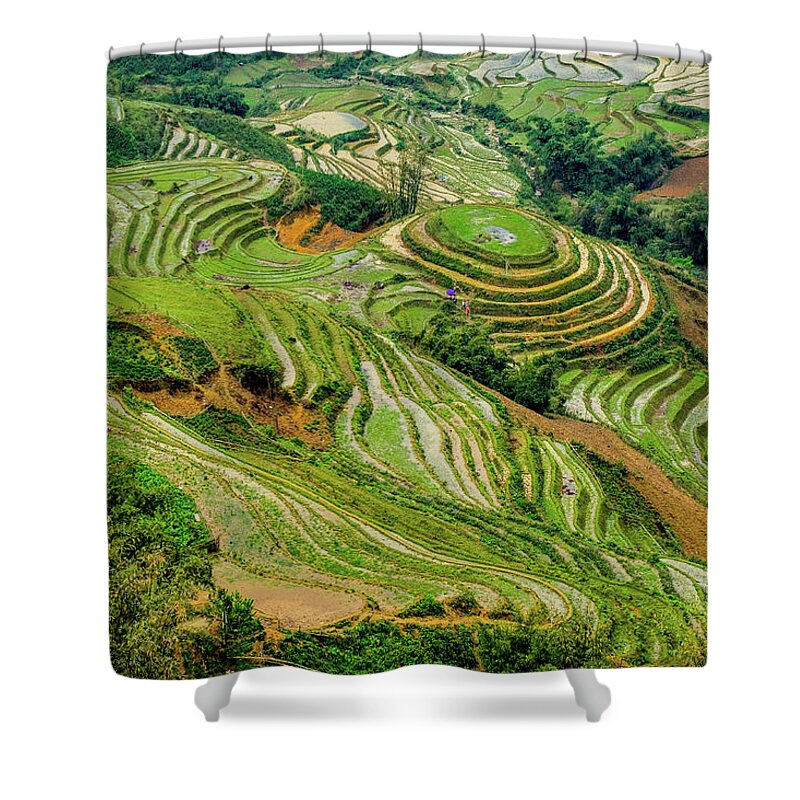 Black Shower Curtain featuring the photograph Rice Terraces in Sapa by Arj Munoz
