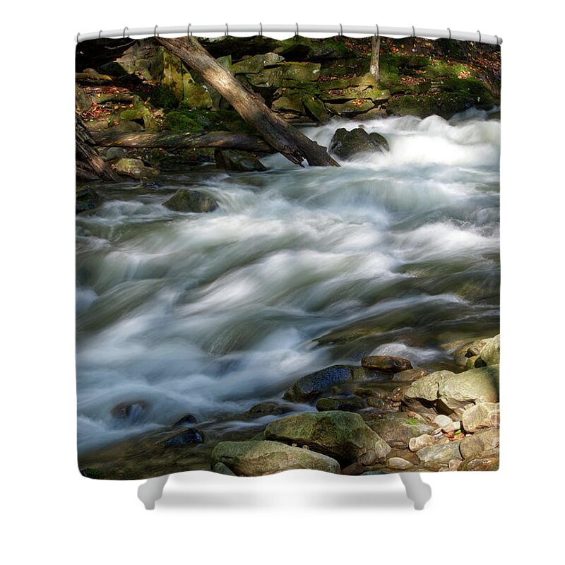 Cumberland Plateau Shower Curtain featuring the photograph Richland Creek 21 by Phil Perkins