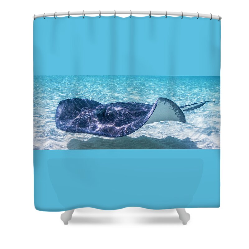 Animals Shower Curtain featuring the photograph Riffles by Lynne Browne