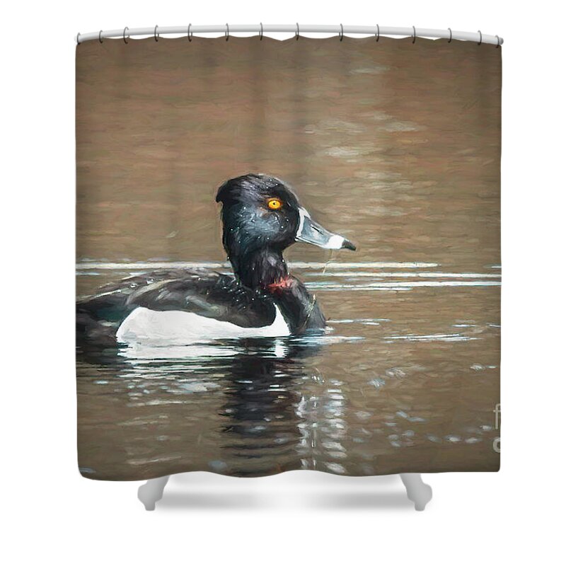 Ring Necked Shower Curtain featuring the photograph Ring-necked Duck by Lorraine Cosgrove