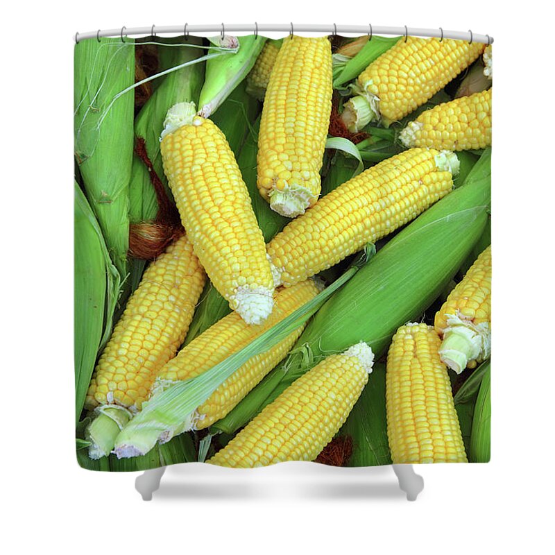 Corn Shower Curtain featuring the photograph Ripe Corn - Food Background by Mikhail Kokhanchikov