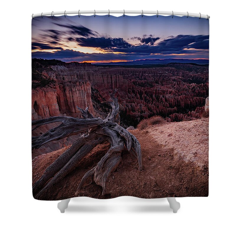 Art Shower Curtain featuring the photograph Rise of Phoenix by Edgars Erglis