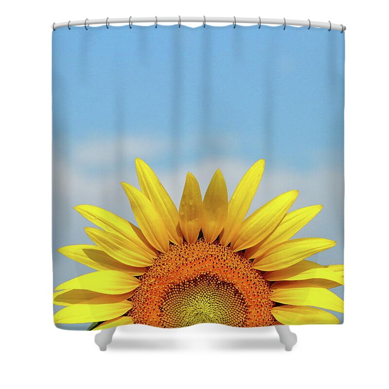 Sunflower Shower Curtain featuring the photograph Rising Sun by Lens Art Photography By Larry Trager