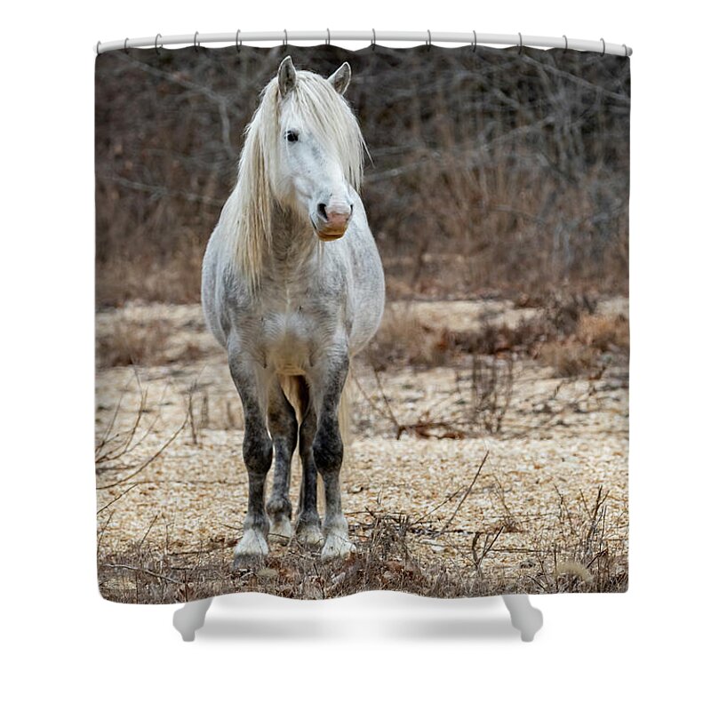 Missouri Shower Curtain featuring the photograph River by Holly Ross