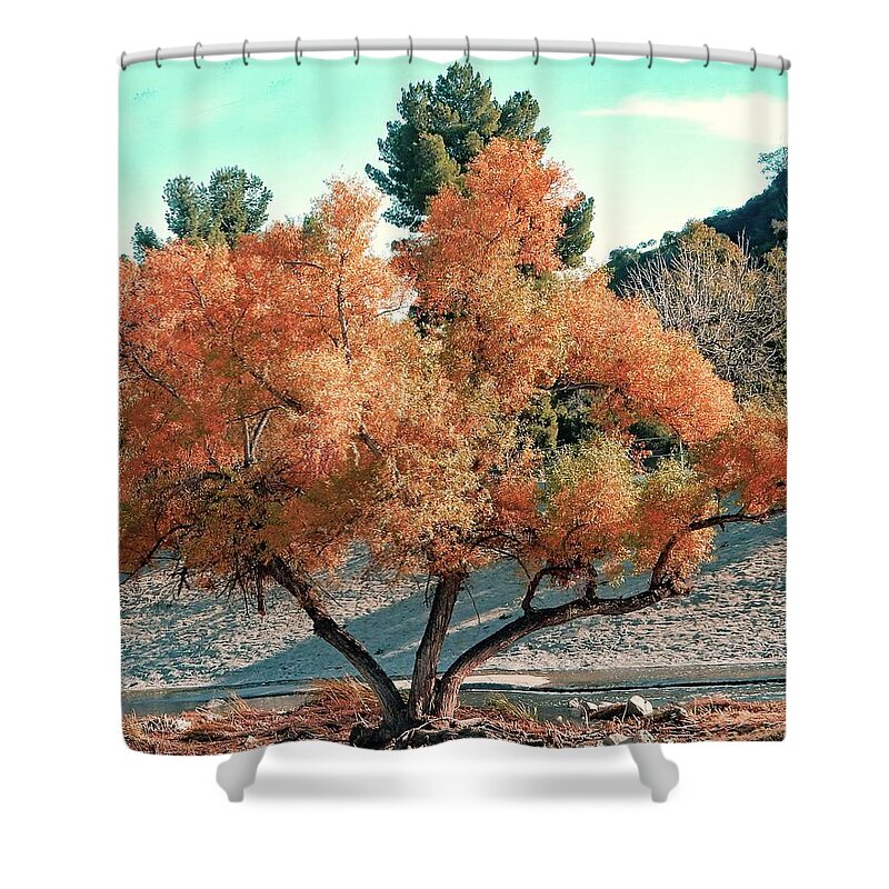 Tree Shower Curtain featuring the photograph River Island Tree by Andrew Lawrence