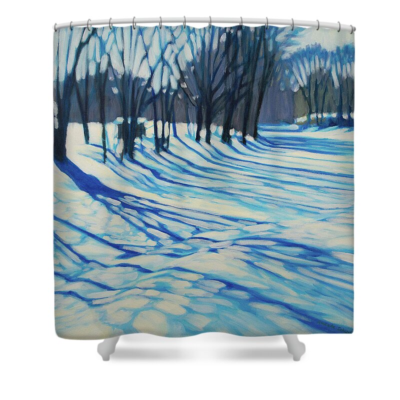 Landscape Shower Curtain featuring the painting River of Light and Shadow by Amanda Schwabe