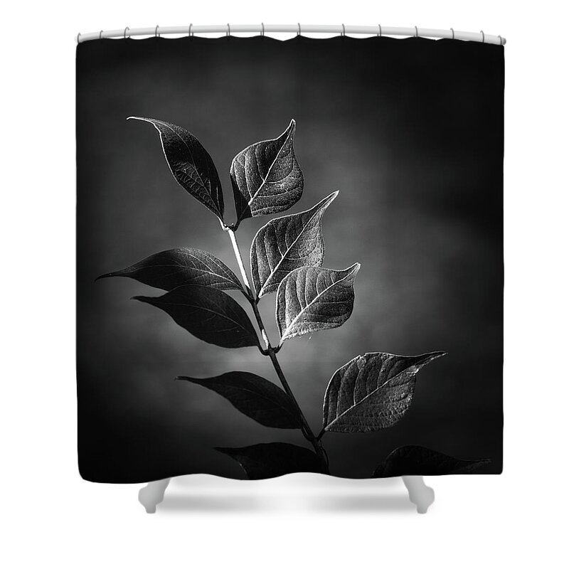 Plant Shower Curtain featuring the photograph River Plant Blades Black and White by Jason Fink
