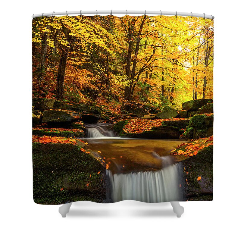 Mountain Shower Curtain featuring the photograph River Rapid by Evgeni Dinev