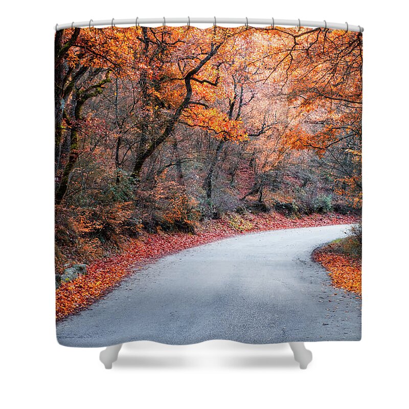 Foliage Shower Curtain featuring the photograph Road in the Forest with Autumn Colors by Alexios Ntounas