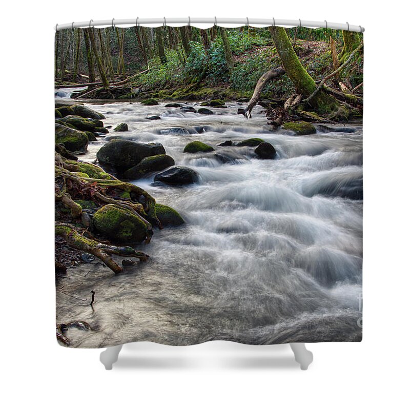 Smoky Mountains Shower Curtain featuring the photograph Roadside Creek 2 by Phil Perkins